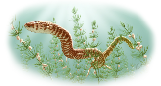 Snake illustration