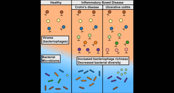 Virome shapes graphic