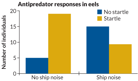 antipredator responses in eels