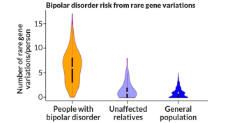 bipolar graph