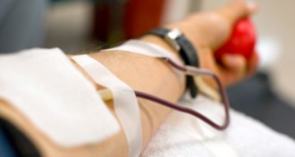 blood donor