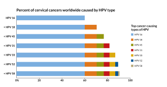 HPV graph