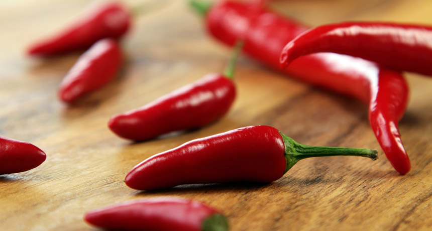 chili peppers