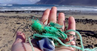 plastic litter in person's hand