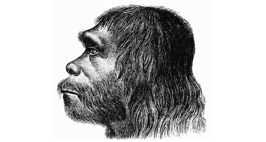 Neandertal sketch