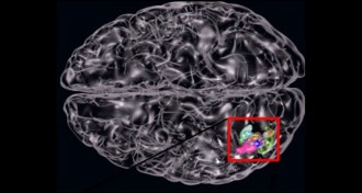 visual word form area