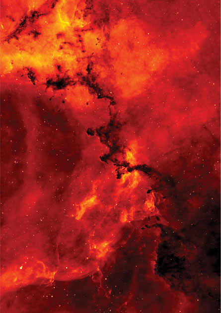 Solo Planets May Be Surprisingly Common