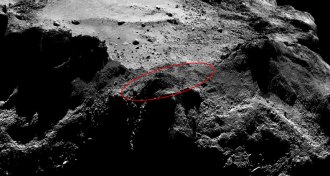 possible Philae landing area