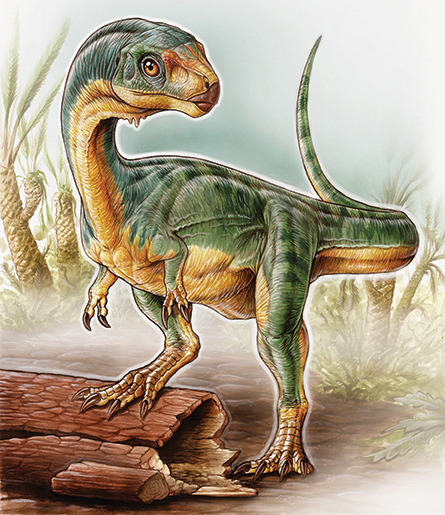Chilesaurus