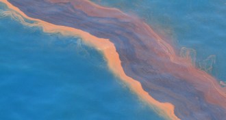 Oil slick in the Gulf of Mexico