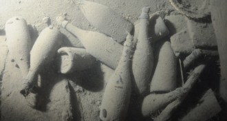 Champagne bottles from shipwreck