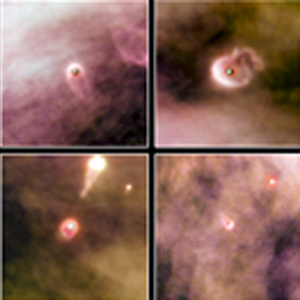 fledgling solar system in Orion Nebula