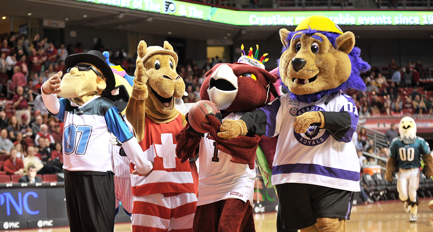 Temple University mascot and other Philadelphia mascots