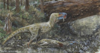 Illustration of a scavenging tyrannosaur