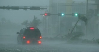 Hurrican Wilma in Florida