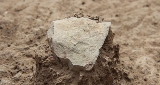 stone tool