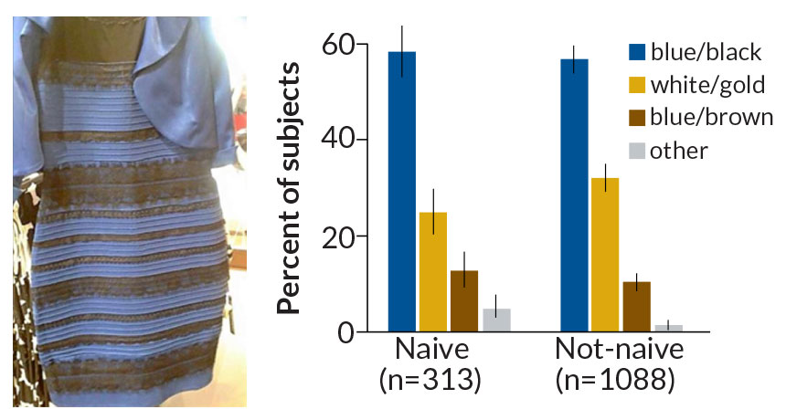 The dress, and how people interpreted the colors of it