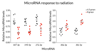 microRNA and radiation