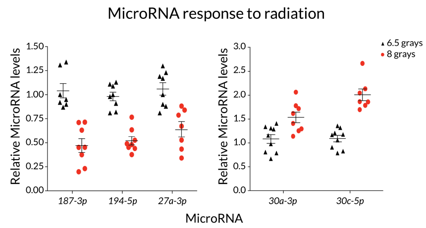 microRNA and radiation