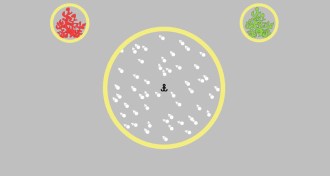 movement test example