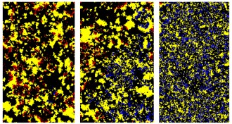 Organisms with and without a genetic mutation for mortality