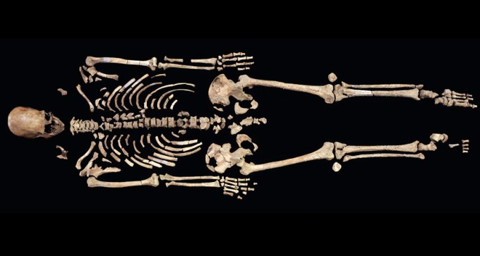 Kennewick Man’s skeleton
