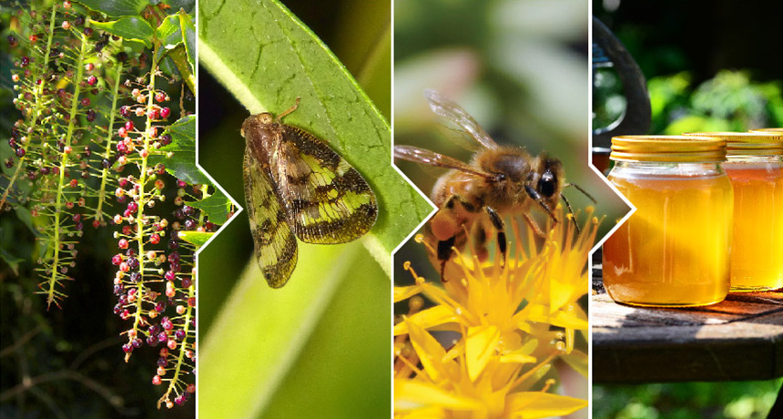 trail of covert forms of neurotoxin