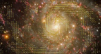 galaxy IC 342 with magnetic fields