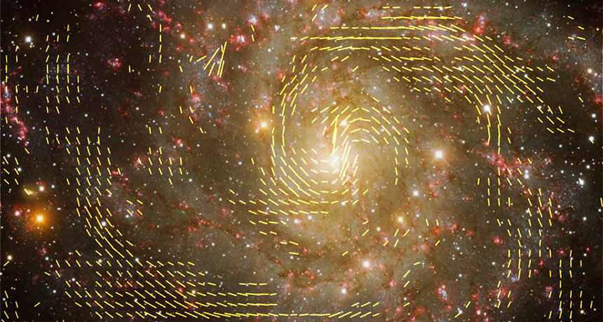 galaxy IC 342 with magnetic fields