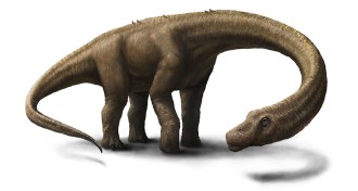 drawing of gigantic dinosaur Dreadnoughtus schrani