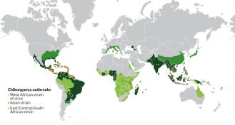 Map of chikungunya outbreaks and mosquito ranges
