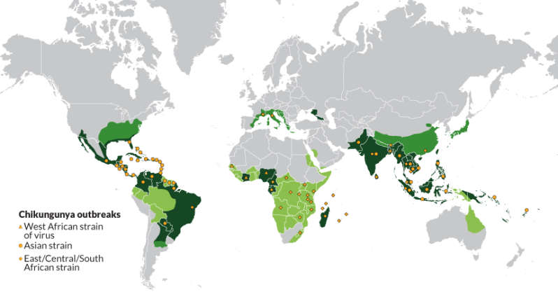 Map of chikungunya outbreaks and mosquito ranges