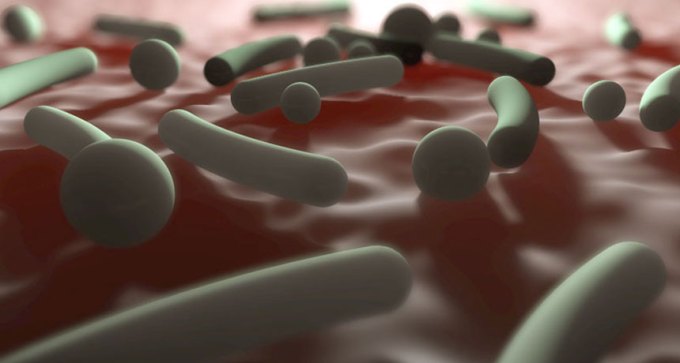skin bacteria illustration