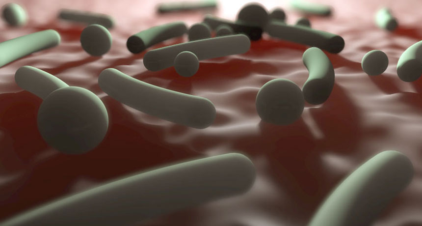 skin bacteria illustration