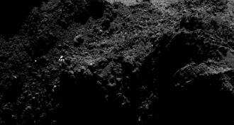 An image of the Philae lander, maybe?