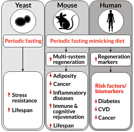fasting data
