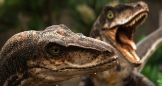 dinosaur models at Universal Orlando
