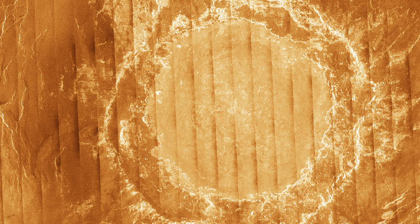 The surface of Venus