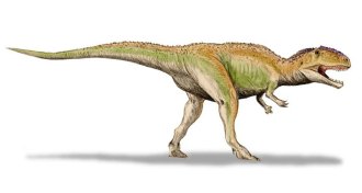Giganotosaurus
