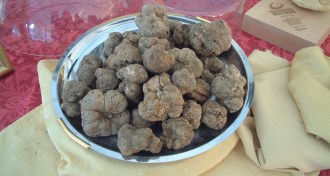 truffles