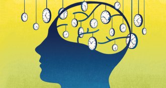 illustration of clocks and the brain