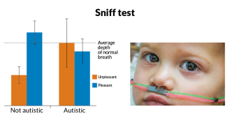 sniff test