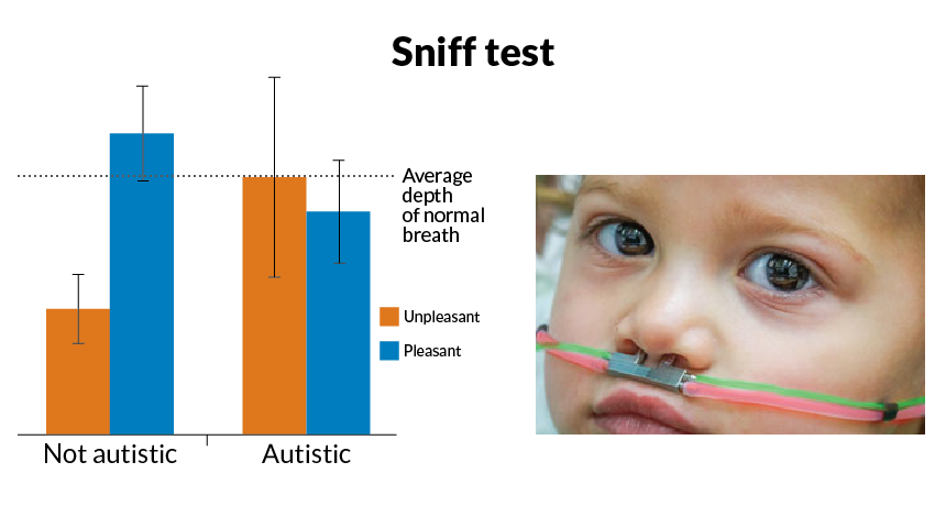 sniff test