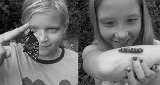 Kids looking at bugs