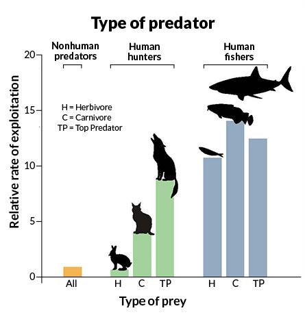 type of predator