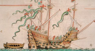 Illustration of the Mary Rose ship