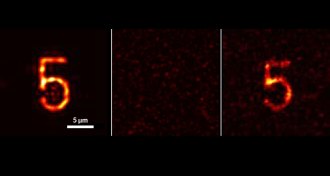 mirror image of the number 5