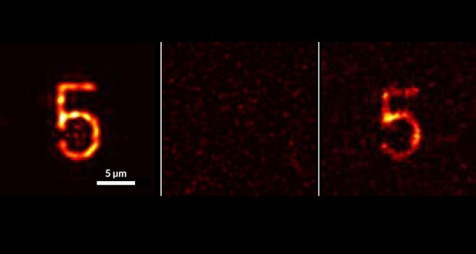 mirror image of the number 5