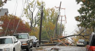 Street after a hurricane