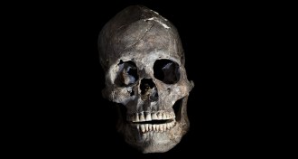 oldest skull
